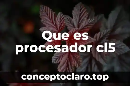 Que es procesador cl5