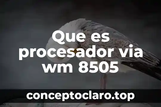 Significado que es una onda 4 Que es procesador via wm 8505