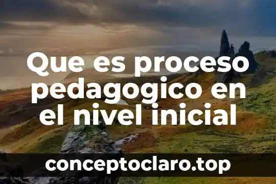 Que es proceso pedagogico en el nivel inicial