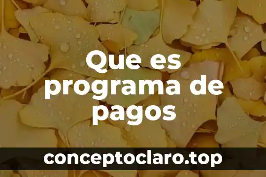 Que es programa de pagos