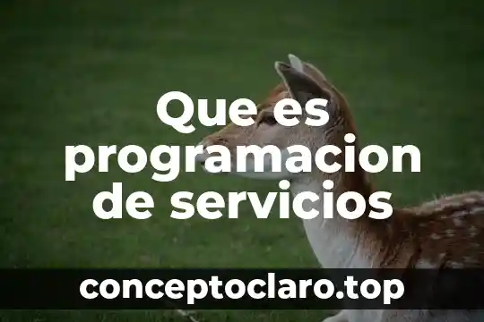 Que es programacion de servicios