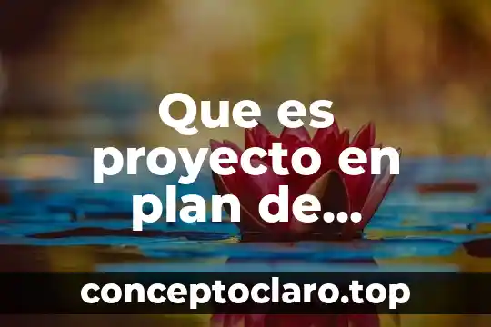 Según Jack Fleitman que es el plan de negocios 3 Que es proyecto en plan de negocios