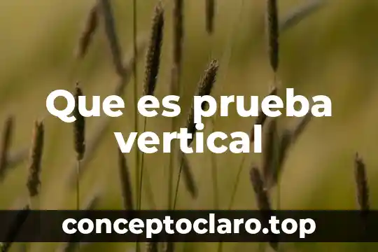Que es una prueba grituno 3 Que es prueba vertical