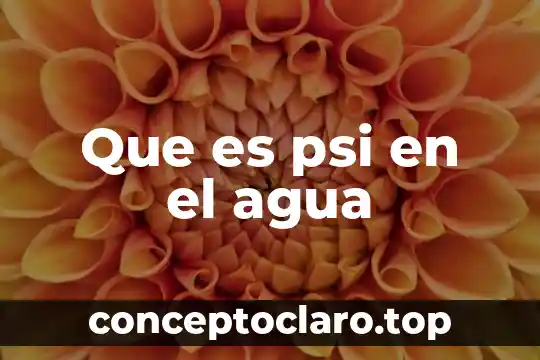 Que es psi en el agua