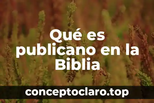 Qué es publicano en la Biblia