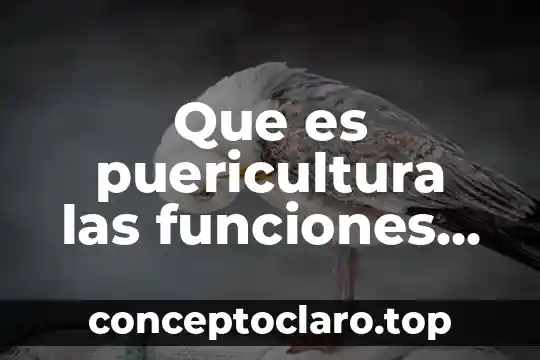 Qué es psicopedagogía y sus funciones 7 Que es puericultura las funciones de la puericultista