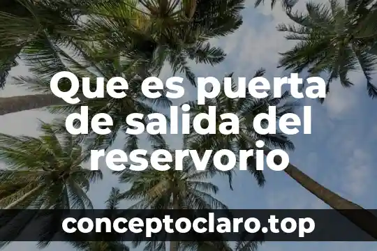 Innovaciones técnicas en periféricos de entrada y salida que es 4 Que es puerta de salida del reservorio