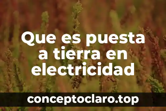 Qué es la electricidad y el electromagnetismo 3 Que es puesta a tierra en electricidad