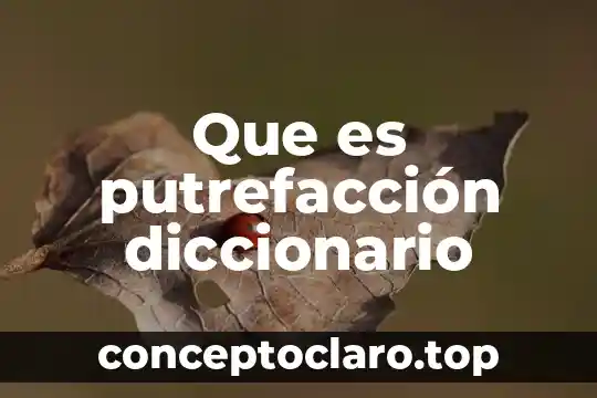 Que es taquifrenia diccionario griego 5 Que es putrefacción diccionario
