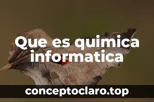 Que significa o que es un algoritmo en informática 7 Que es quimica informatica