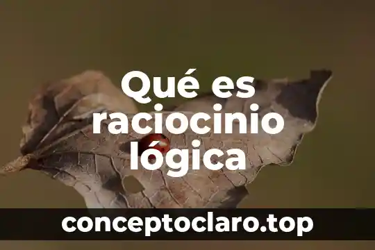 Qué es raciocinio lógica