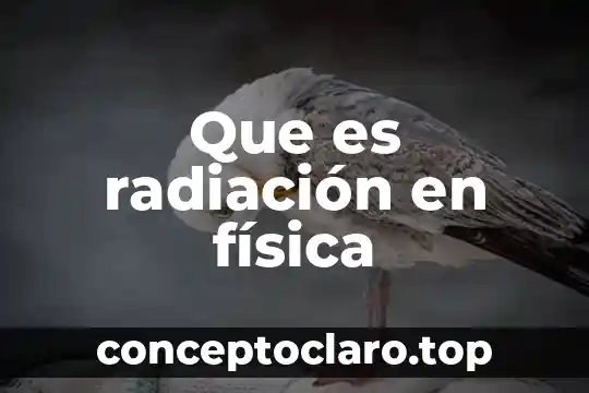 Que es trabajo colectivo en educacion fisica 8 Que es radiación en física
