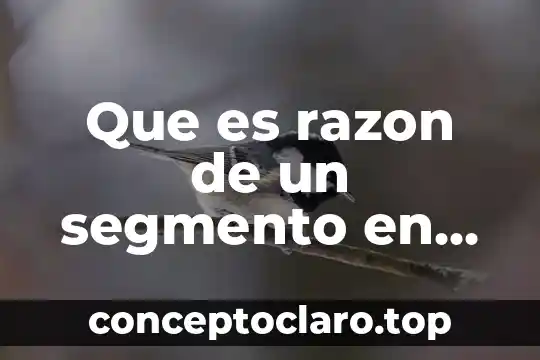 Que es razon de un segmento en matematicas