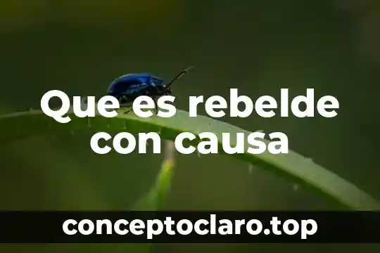 Que es significa sin causa legitima 4 Que es rebelde con causa