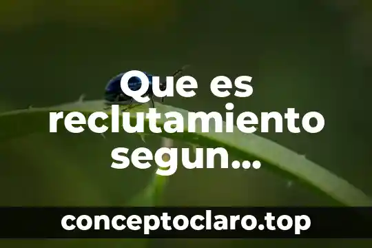 Que es reclutamiento segun doferentes autores