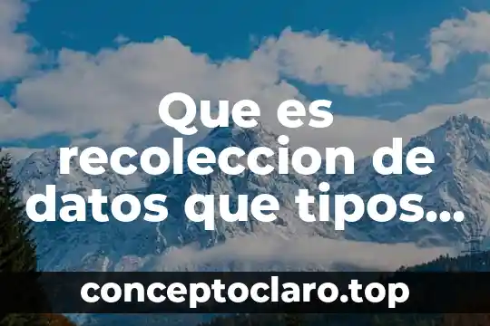 Para que es el mantenimiento de una base de datos 3 Que es recoleccion de datos que tipos existen