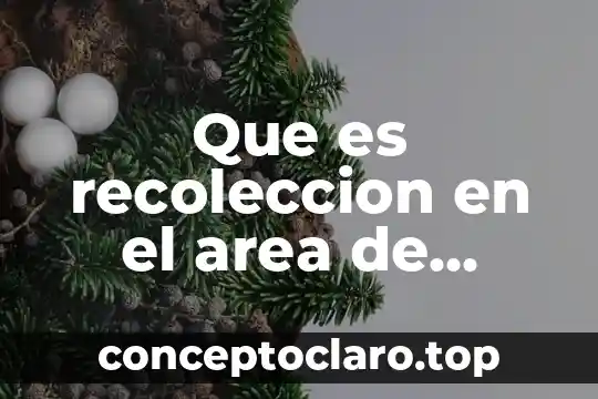 Que es la escuela nacional de agricultura 3 Que es recoleccion en el area de agricultura