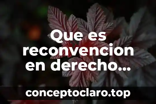 Que es la adopcion segun el codigo civil ecuatoriano 3 Que es reconvencion en derecho civil