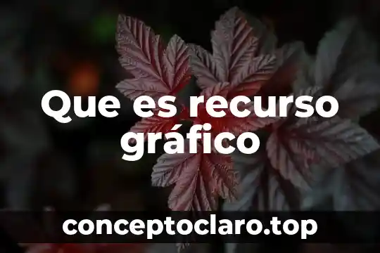 Que es un esquema grafico sintetizado de biabetes 7 Que es recurso gráfico