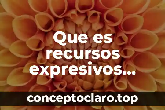 Que es recursos expresivos concepto