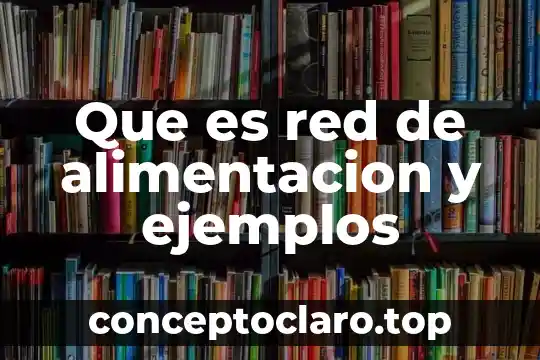 Que es red de alimentacion y ejemplos