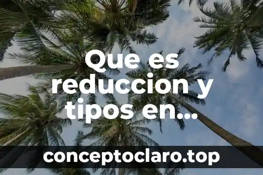 Que es reduccion y tipos en gastronomia