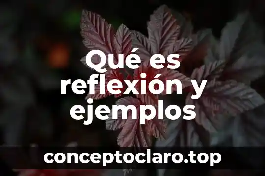 Que es una reflexion valorativa 4 Qué es reflexión y ejemplos