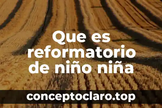 Que es reformatorio de niño niña