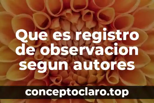 Que es una adecuacion segun autores 4 Que es registro de observacion segun autores