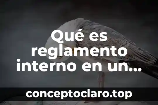 Que es el reglamento de la ley federal de turismo 8 Qué es reglamento interno en un ejido