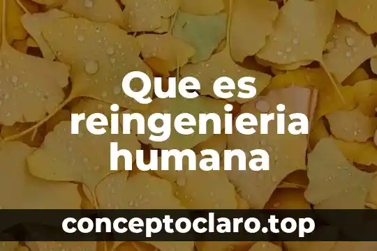 Que es reingenieria humana