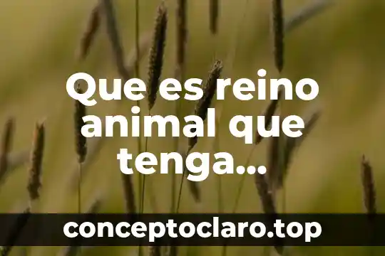 Por que es causado el maltrato animal 4 Que es reino animal que tenga nutricion