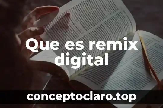 Que es remix digital