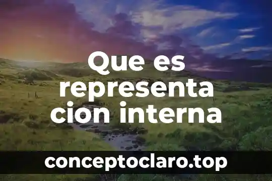 Analepsis interna homodiegética que es 4 Que es representa cion interna