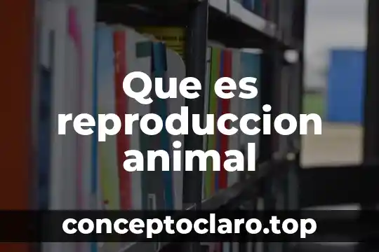 Que es reproduccion animal