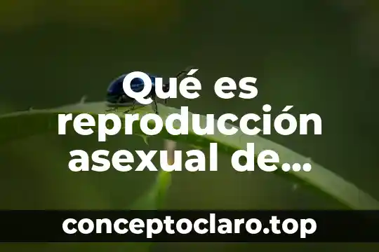 Que es ser asexual en una mujer 3 Qué es reproducción asexual de plantas