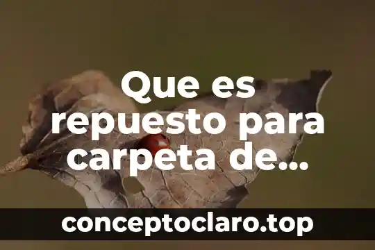 Que es repuesto para carpeta de cuadros