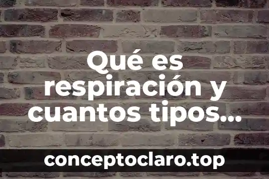 Qué es respiración y cuantos tipos hay