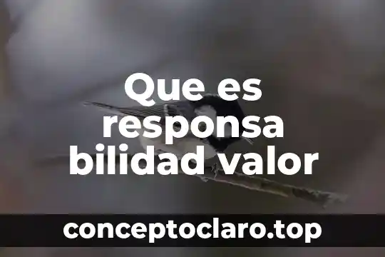 Que es responsa bilidad valor