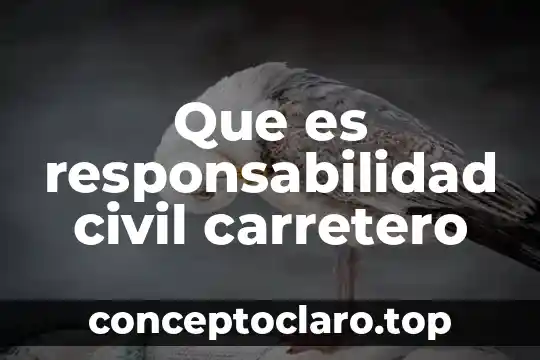 Que es la adopcion segun el codigo civil ecuatoriano 8 Que es responsabilidad civil carretero