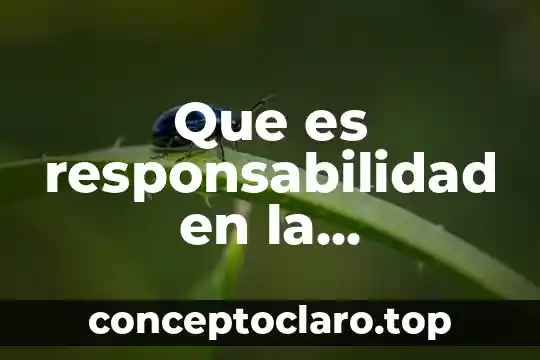 Que es responsabilidad social administrativa 8 Que es responsabilidad en la comunidad