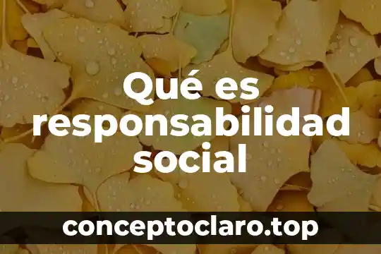 Que es la conciencia social ejemplos 5 Qué es responsabilidad social