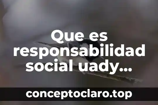 Que es responsabilidad social administrativa 5 Que es responsabilidad social uady 2014-2022