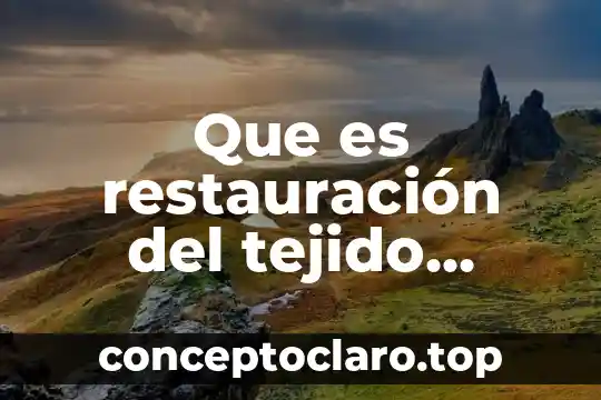 Que es restauración del tejido social