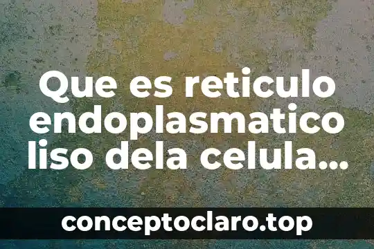 Que es patrimonio dela humanidad concepto para niños 4 Que es reticulo endoplasmatico liso dela celula animal