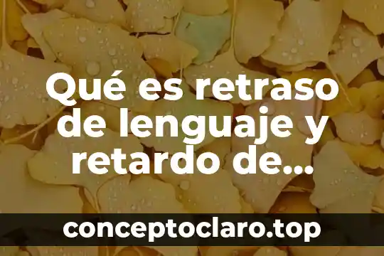 Lenguaje de representacion programacion que es 4 Qué es retraso de lenguaje y retardo de lenguaje