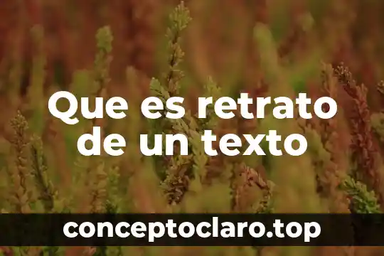 Que es retrato de un texto