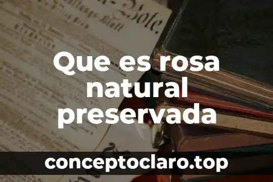 Que es rosa natural preservada