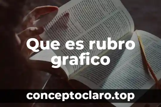 Que es un esquema grafico sintetizado de biabetes 5 Que es rubro grafico