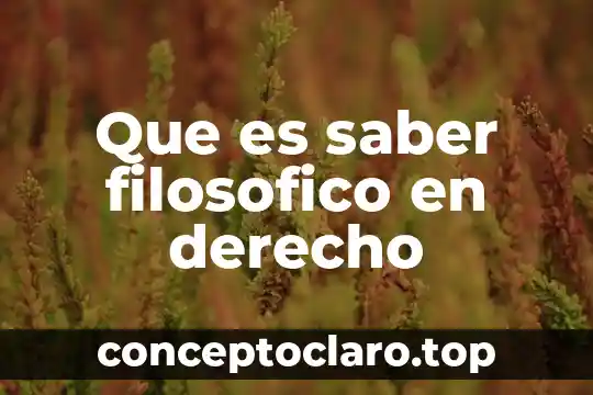 Que es un concepto filosofico 4 Que es saber filosofico en derecho